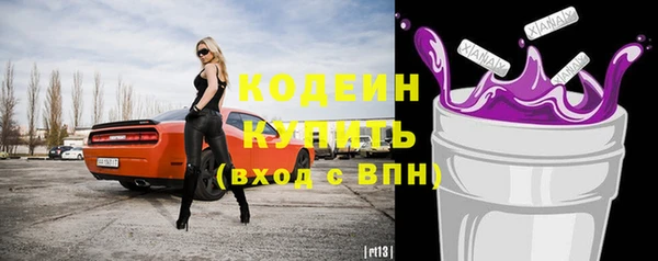 молекула духа Богородицк
