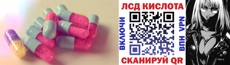 kraken онион  Динская  Лсд 25 экстази кислота 